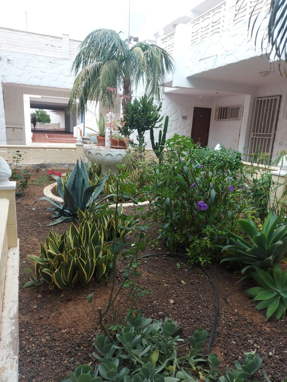 Apartamento Casa Papagayo Arona  Exterior foto